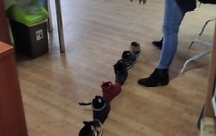 IMG_20221129_124336