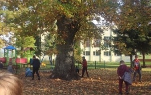 IMG_20221017_132152