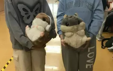 BOAOI0Gr