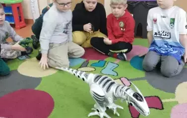 1000031067