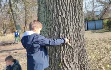 1000002976