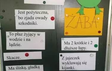 1000003017