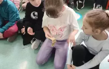 1000003091
