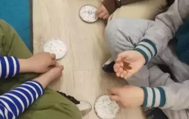 1000049735