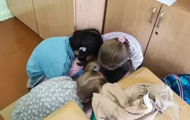 1000003376