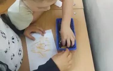 9lsBV6er