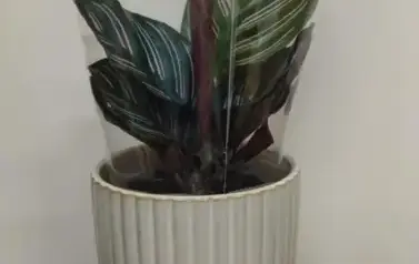 1000002805