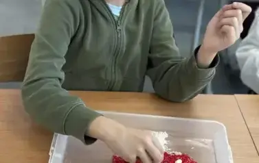 bYEuj7rk