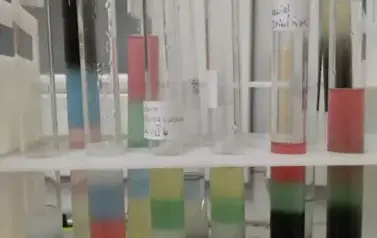 1000003141
