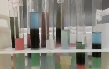 1000003139