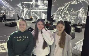 cnSBtvrK