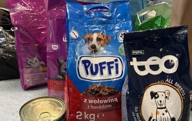 y-mgFneu
