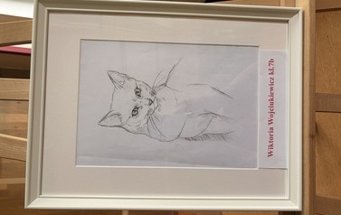 IMG_9384.jpeg