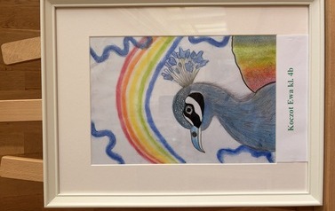 IMG_9380.jpeg