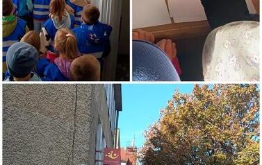 20261018_084155-COLLAGE