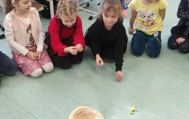 IMG_20231129_110108