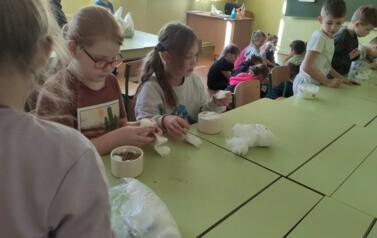 IMG_20240229_130713