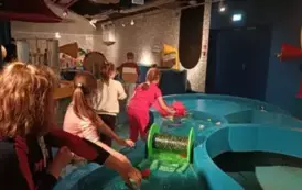 IMG20250415114437