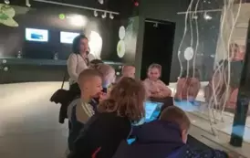 IMG20250415100235