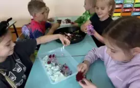 XYSz1Qmo