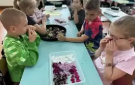 ySDCUJhw