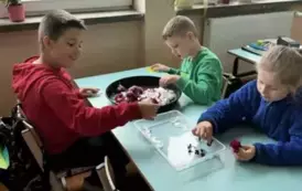 kVbQVSqg