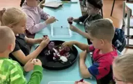 sBACLrOD