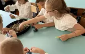 chDKoym9