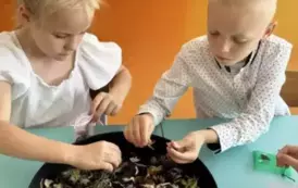 cqBxjBkN