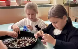 UYGlNxyS