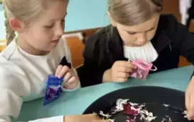 gvcoJUYj