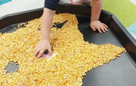 Messenger_creation_8043AF2D-4F88-4634-B2E3-629AE7EF149E