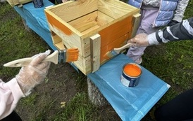 IMG_8047.jpeg