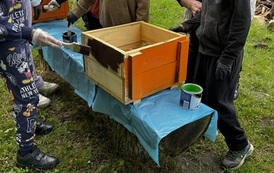 IMG_8050.jpeg