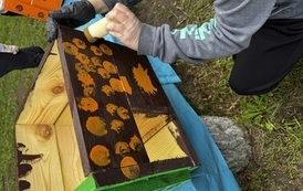 IMG_8063.jpeg