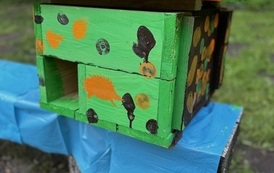IMG_8100.jpeg