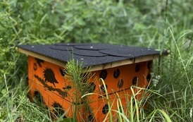 IMG_8115.jpeg