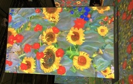 IMG_8924.jpeg