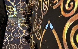 IMG_8921.jpeg