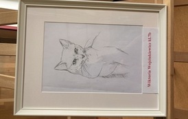 IMG_9384.jpeg