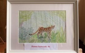 IMG_9383.jpeg