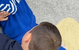 7pcf2BAZ