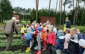 received_1534941957320708