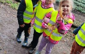 received_153533187785537