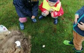 received_1378492819712855