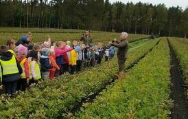 received_295471113273808