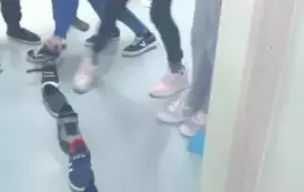 pCsMLF2x