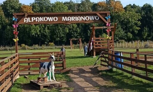 Alpakowo.