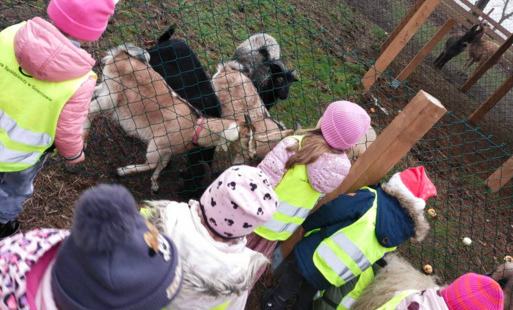 Grupa przedszkolaków.