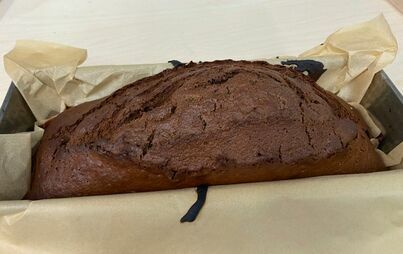 Zdjęcie do Ciasto piernikowe:).